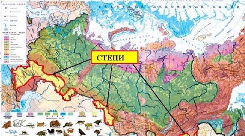 Steppe zone - description and general characteristics
