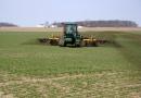 Технология выращивания озимой пшеницы